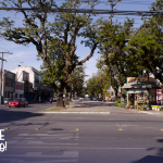 Avenida de Pelotas