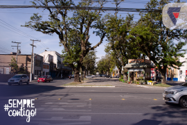 Avenida de Pelotas