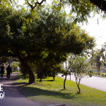 Avenida Pelotas